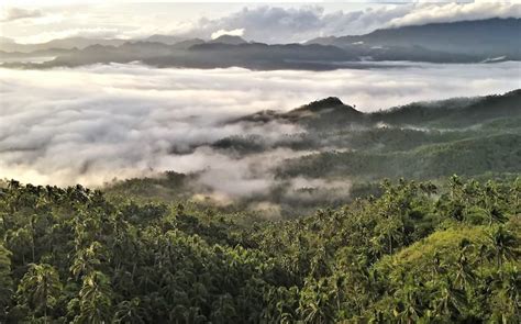 sea of clouds baybay city leyte|11 Best Things to Do in Baybay City, Leyte (Tourist Spots in Baybay.